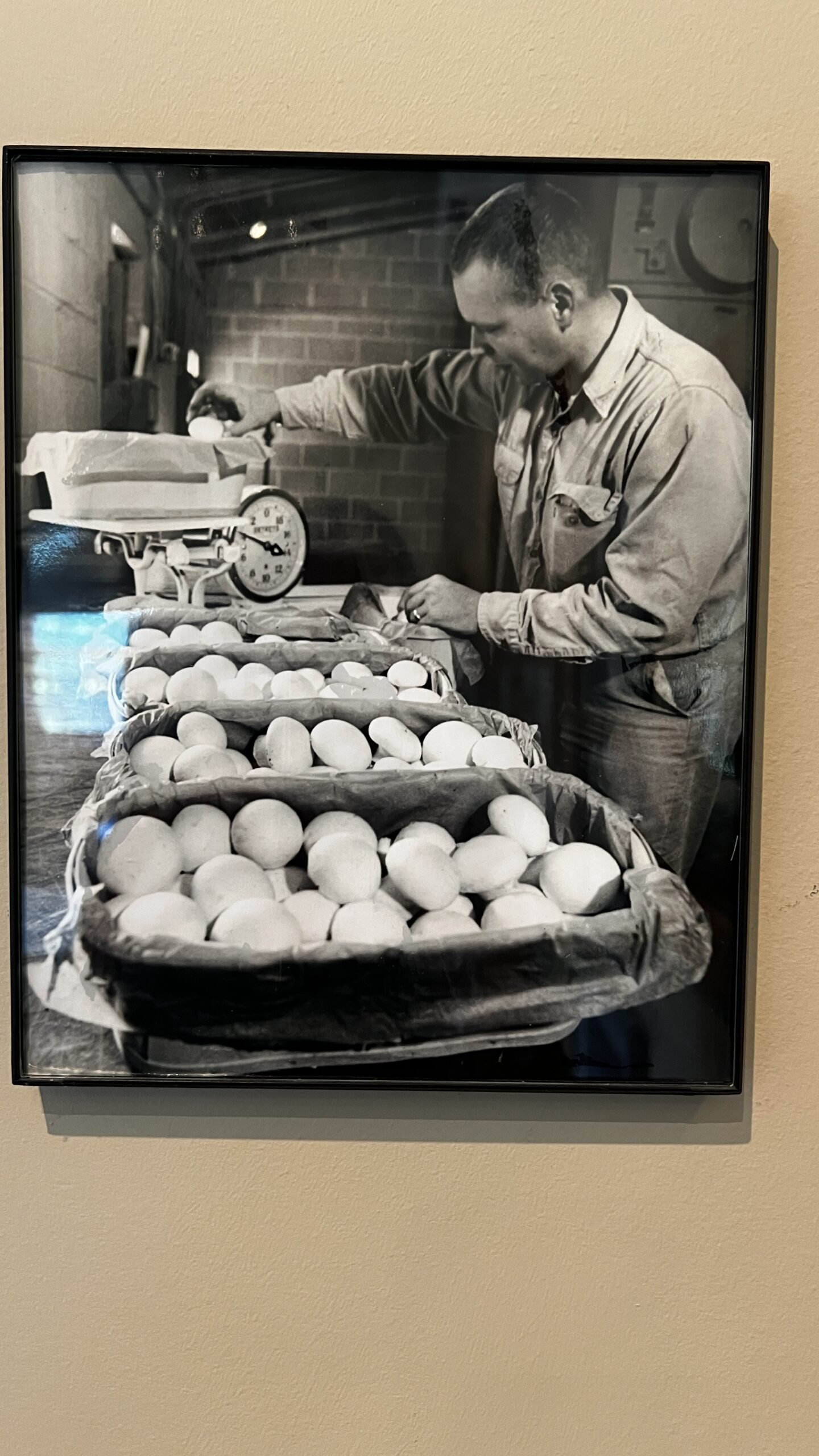 Kennett Square: Exploring the Mushroom Capital of the World Vintage black-and-white photo of a man weighing baskets filled with mushrooms.
