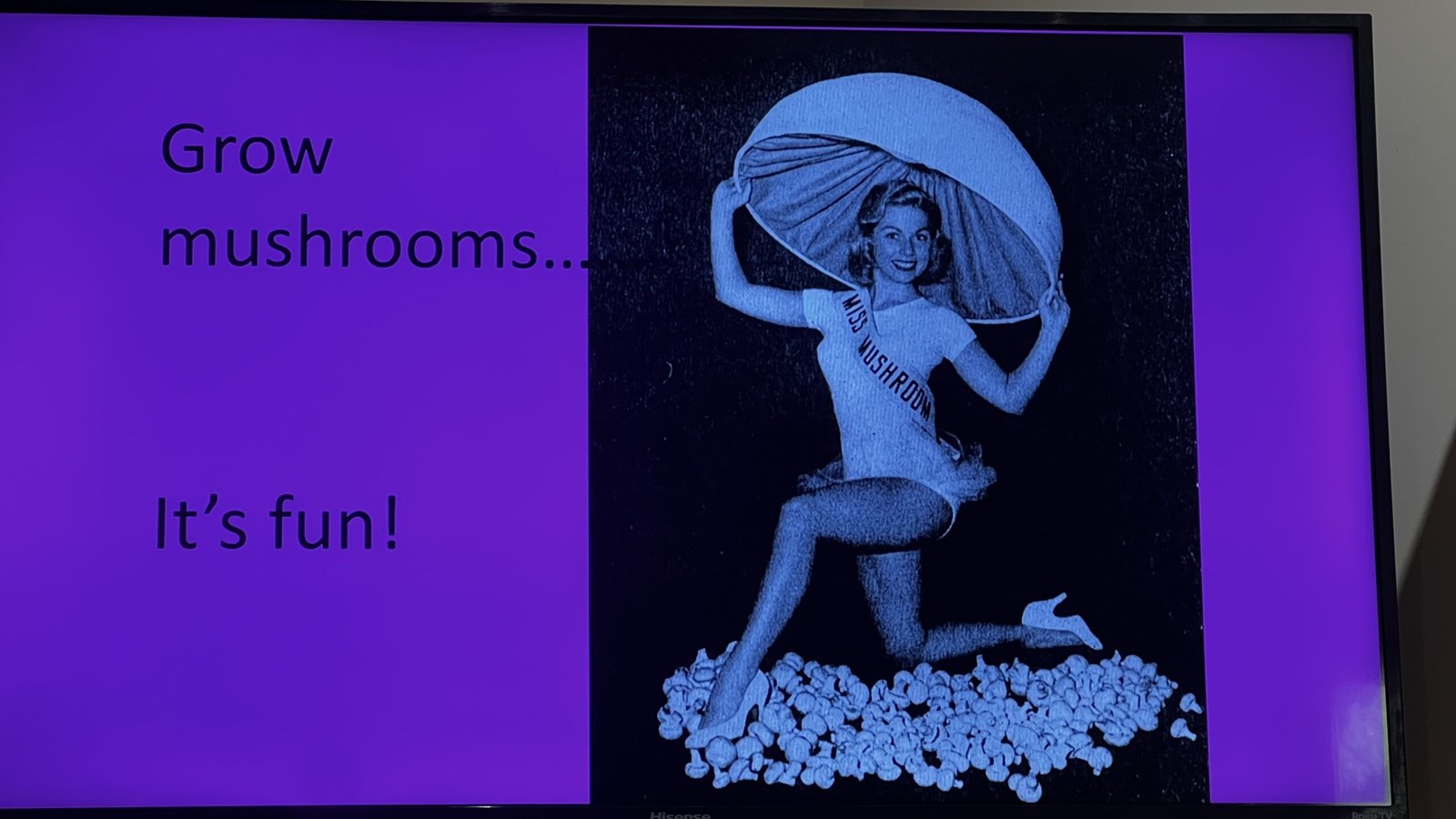Kennett Square: Exploring the Mushroom Capital of the World Retro promotional photo of a woman dressed as “Miss Mushroom,” sitting on a pile of mushrooms with the words “Grow mushrooms… It’s fun!”