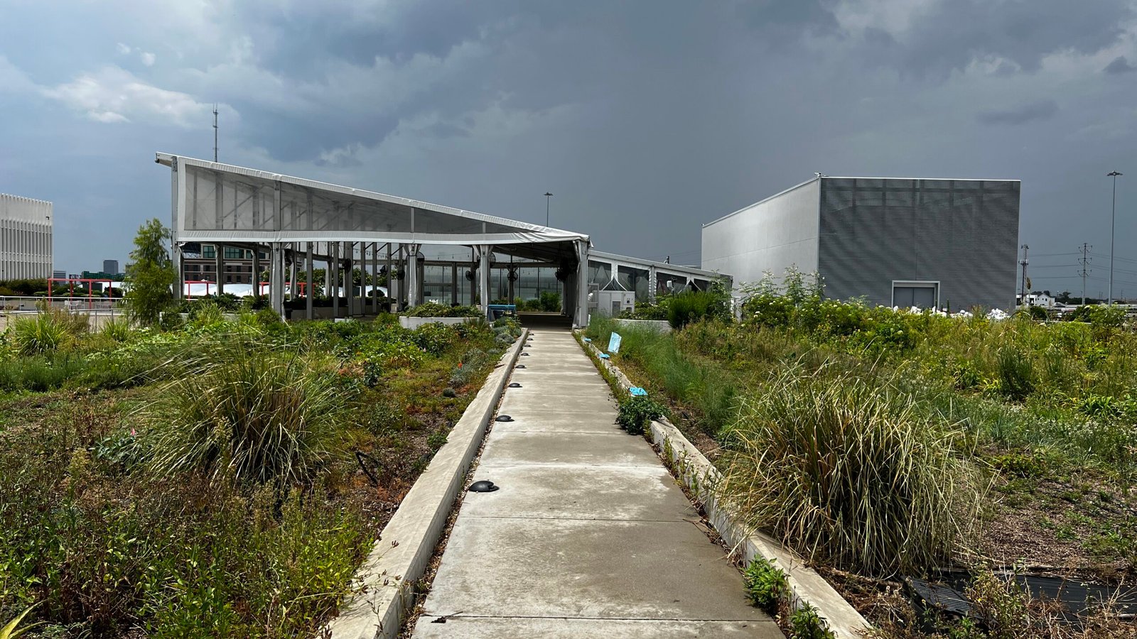 Foodie Forays in Houston: Savoring the Culinary Culture of the Bayou City IMG 5514