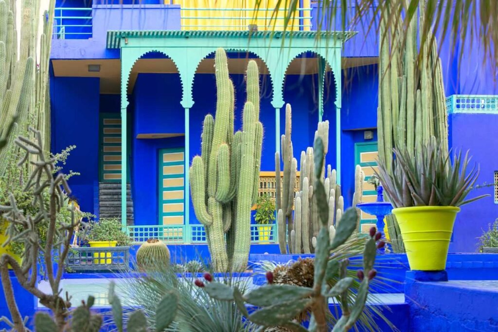 Le Jardin Secret in Marrakech with tall cacti, vibrant cobalt blue walls, and yellow accents framing the serene courtyard garden.