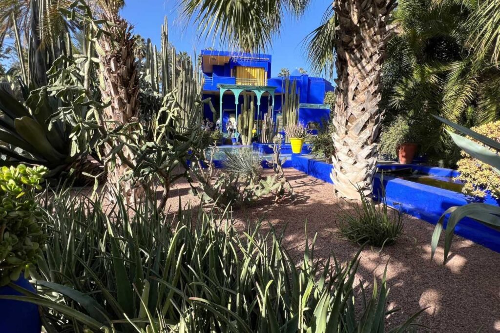 Majorelle Garden in Marrakech with lush cactus and palm trees framing the vibrant cobalt blue villa and yellow accents, a serene blend of nature and bold architecture.