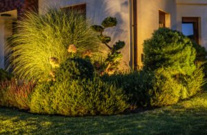 Garden Plants Illuminated by Outdoor LED Lighting