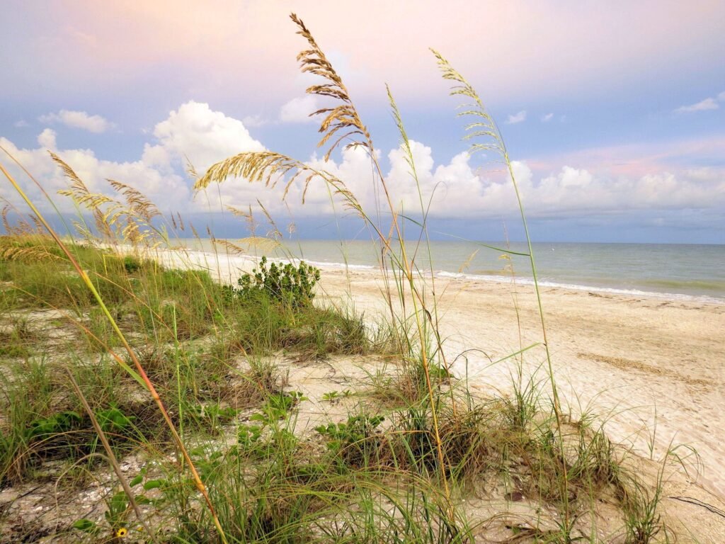 Sanibel Island Beach Landscape