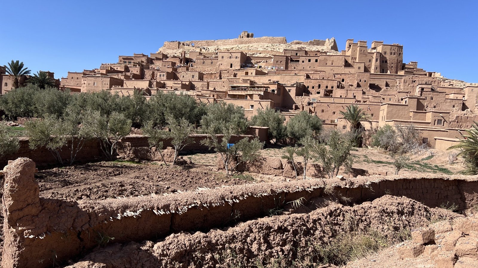 View of the ancient mudbrick ksar of Aït Benhaddou surrounded by palm trees and desert landscape.