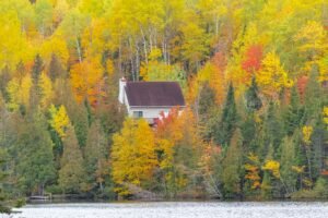 house hidden in the forest on the lake in canada 2025 02 08 14 11 41 utc