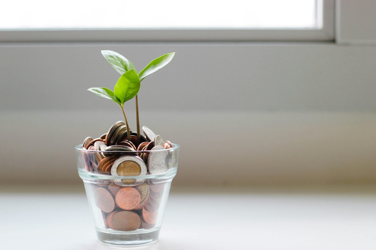 Smart Lifestyle Tips for Students Living on a Budget micheile henderson SoT4 mZhyhE unsplash