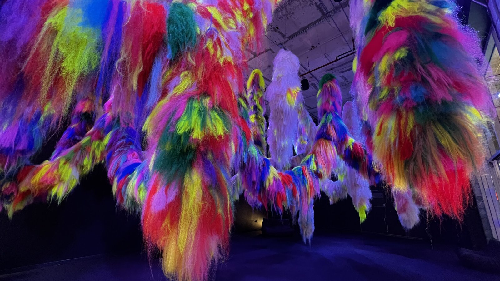 Step Into the Mind: Exploring Hrafnhildur Arnardóttir’s Vibrant Nervescape IMG 5541
