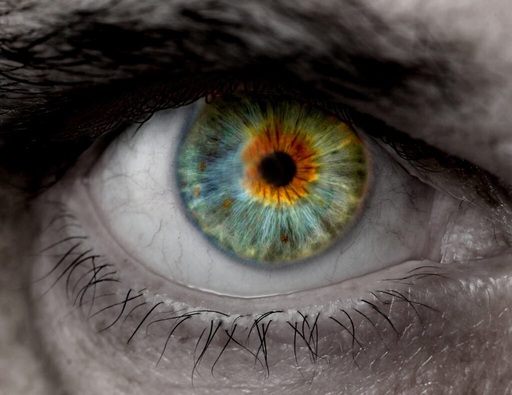 macro color eye 2025 10 17 02 42 07 utc scaled