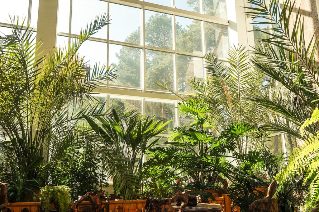Advertising/ Collabs green plants in botanical garden indoor window 2025 01 08 23 15 09 utc scaled