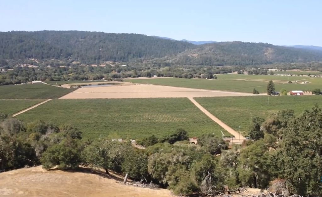Panoramic view of Ferrington Vineyard and the surrounding Anderson Valley from the blufftop on the Mendocino Ridge.