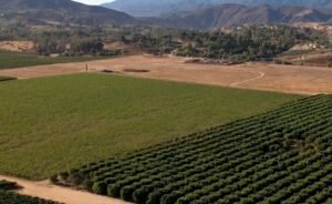 Aerial view of Mendocino wineries and vineyards surrounded by rolling hills.