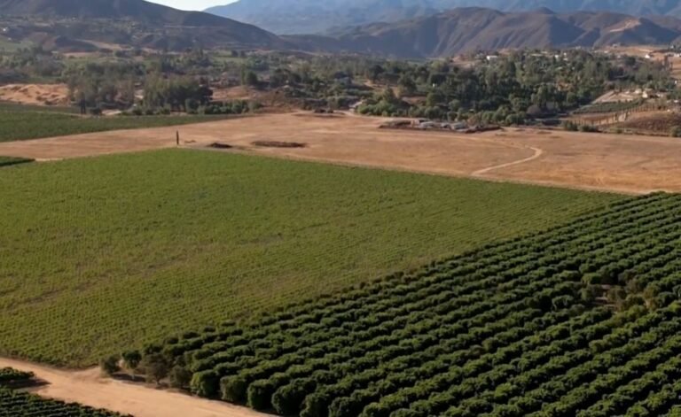 Aerial view of Mendocino wineries and vineyards surrounded by rolling hills.